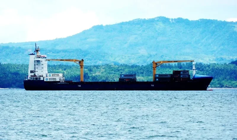 MSC CLEMENTINA F Container Ship IMO 9301550 photo 5