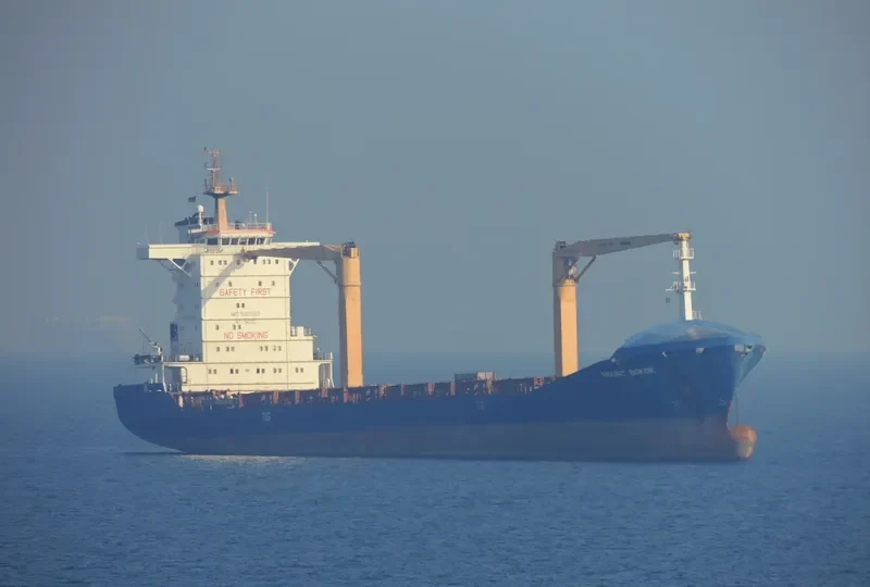 MSC CLEMENTINA F Container Ship IMO 9301550 photo 6