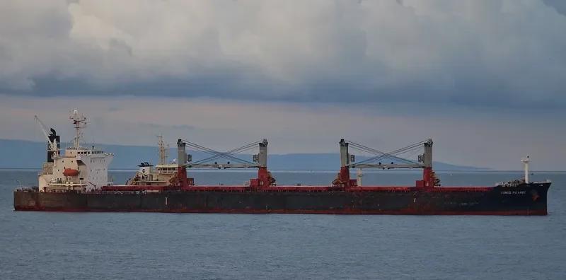 GENCO PICARDY Bulk Carrier IMO 9301720 photo 2