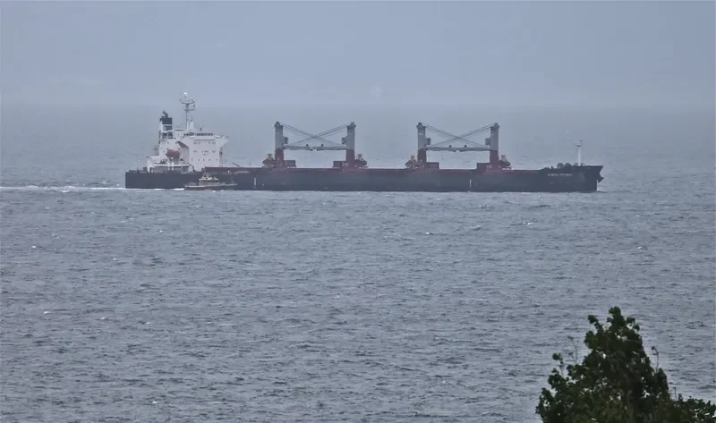 GENCO PICARDY Bulk Carrier IMO 9301720 photo 9