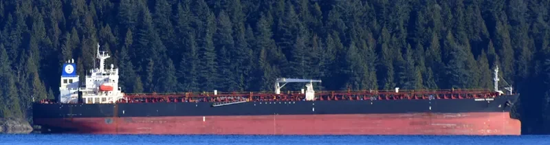 SEAWAYS VISAYAS Tanker IMO 9301952
