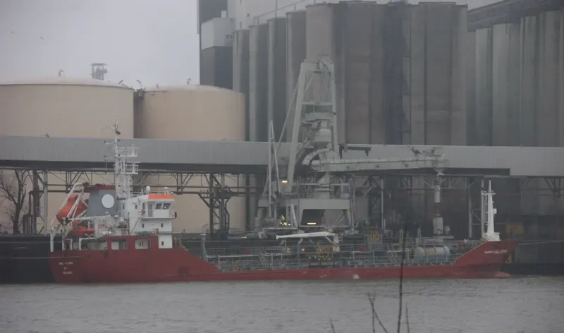 DANIELA MELISSA General Cargo IMO 9302011 photo 8