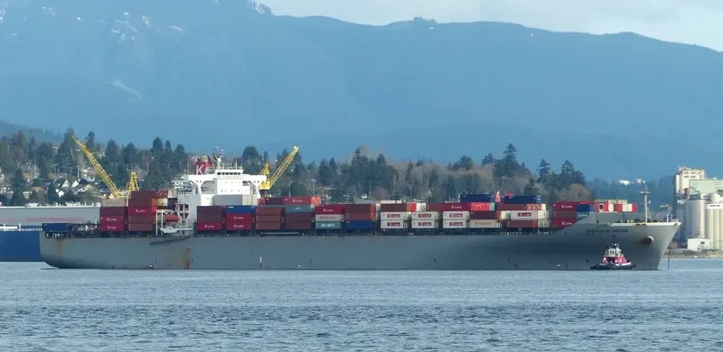 MSC ANAHITA Container Ship IMO 9302085 photo 2