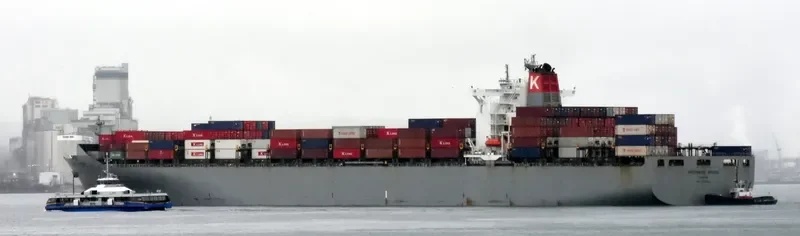 MSC ANAHITA Container Ship IMO 9302085 photo 3