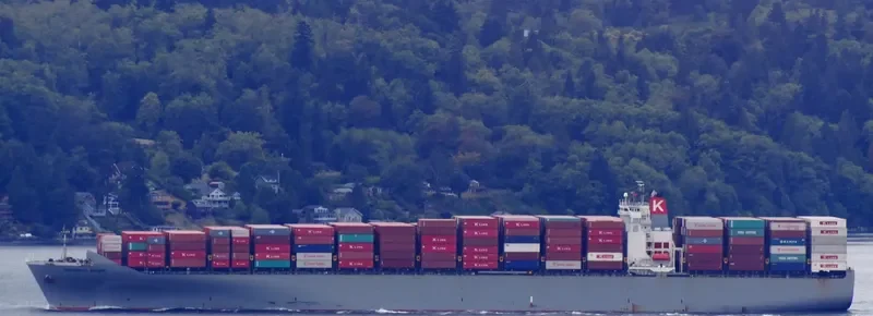 MSC ANAHITA Container Ship IMO 9302085 photo 5