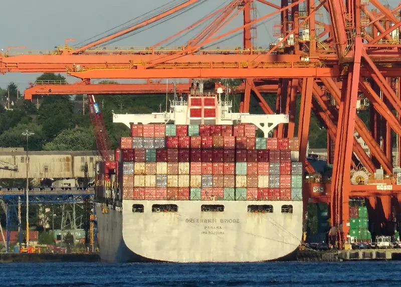 MSC ANAHITA Container Ship IMO 9302085 photo 13