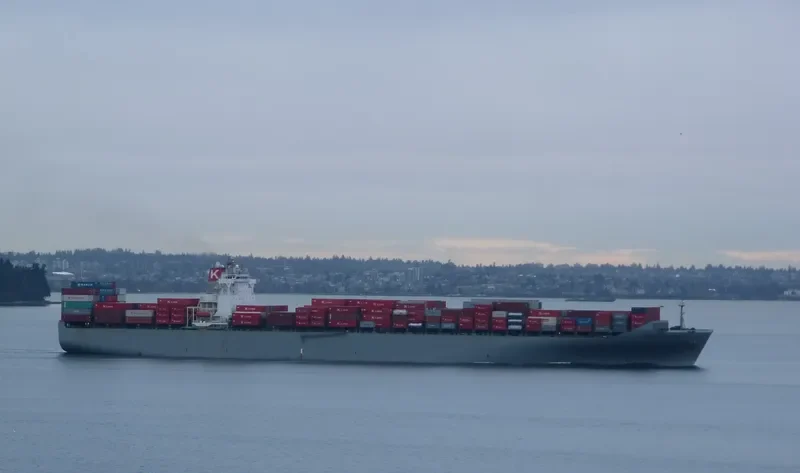 MSC ANAHITA Container Ship IMO 9302085 photo 19