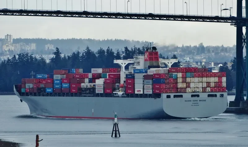 RDO ENDEAVOUR Container Ship IMO 9302102 photo 3