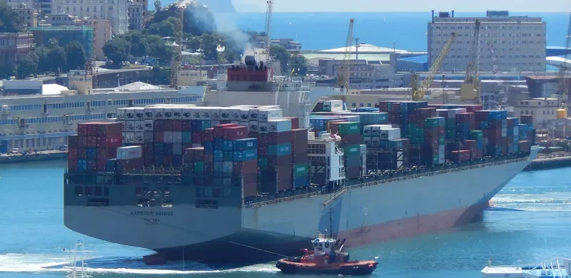 ONE HARBOUR Container Ship IMO 9302152 photo 2