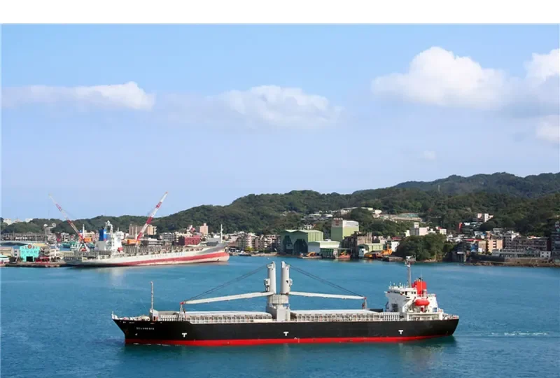 SPRING MOTA General Cargo IMO 9302334 photo 8