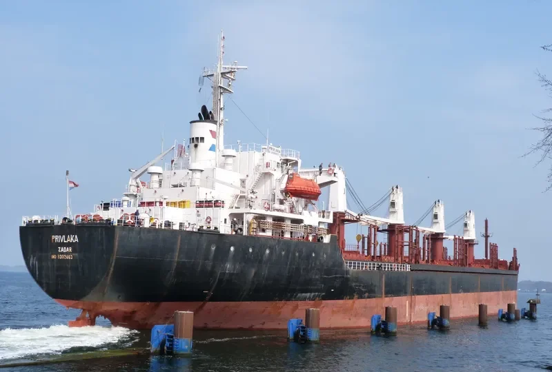 PRIVLAKA Bulk Carrier IMO 9302463 photo 8