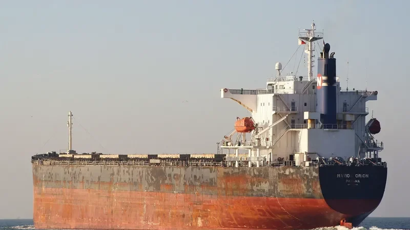 ORION III Bulk Carrier IMO 9302748 photo 4