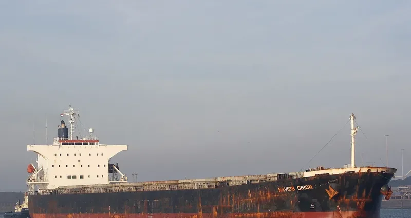 ORION III Bulk Carrier IMO 9302748 photo 5