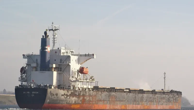 ORION III Bulk Carrier IMO 9302748 photo 6