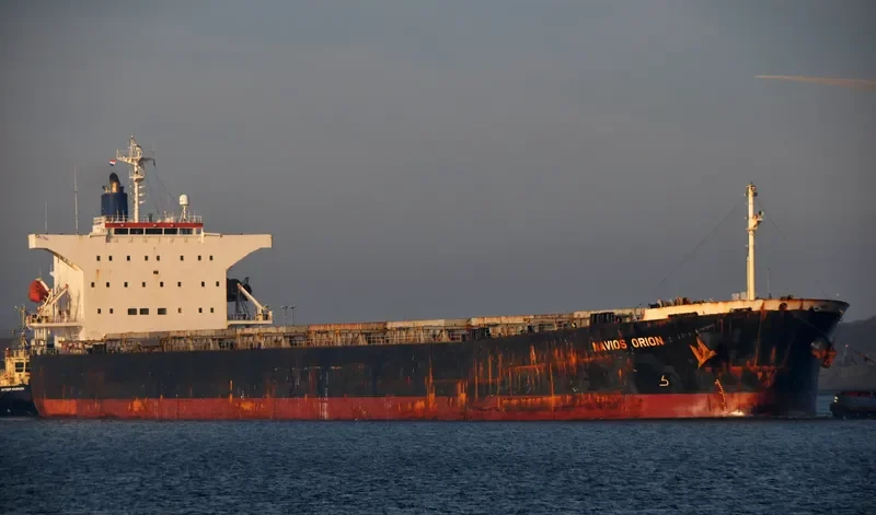 ORION III Bulk Carrier IMO 9302748 photo 10