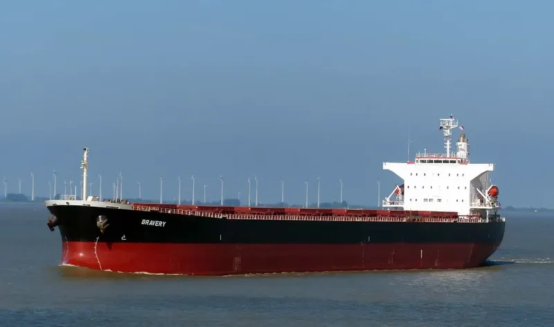 BRAVERY Bulk Carrier IMO 9302750
