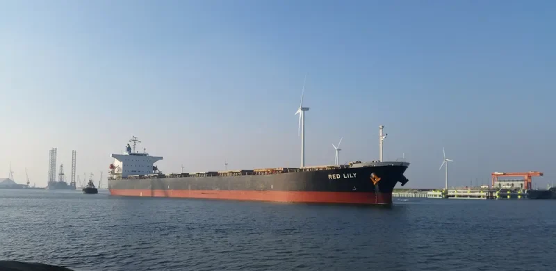 BRAVERY Bulk Carrier IMO 9302750 photo 2