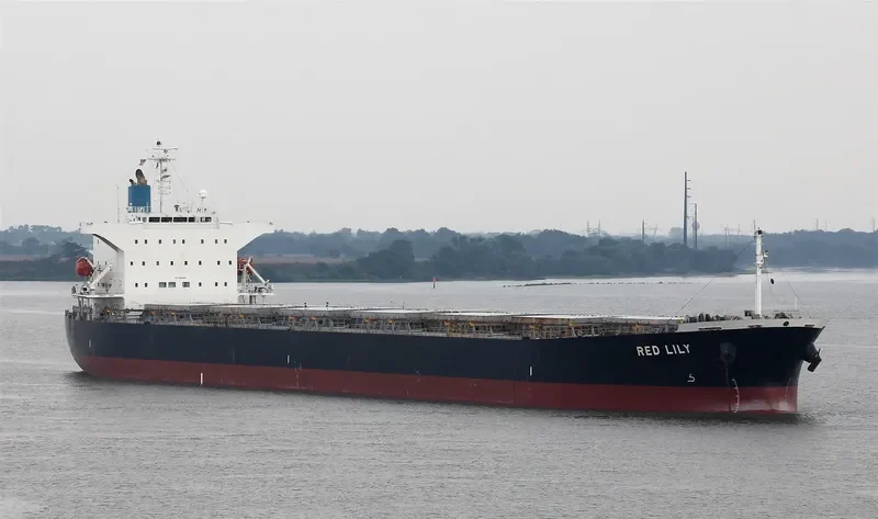 BRAVERY Bulk Carrier IMO 9302750 photo 3