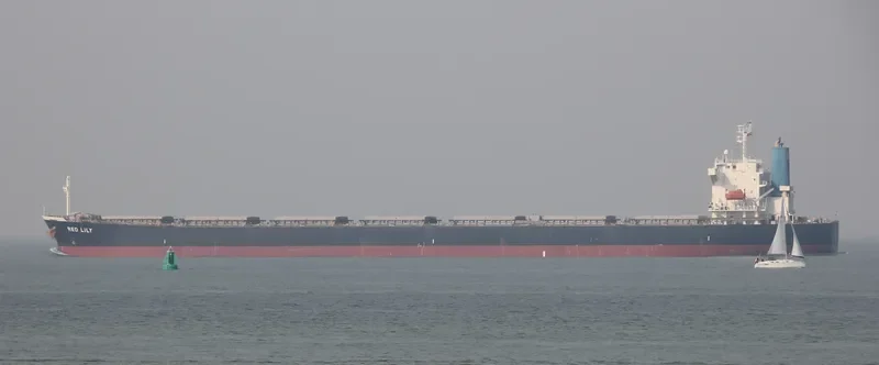 BRAVERY Bulk Carrier IMO 9302750 photo 4