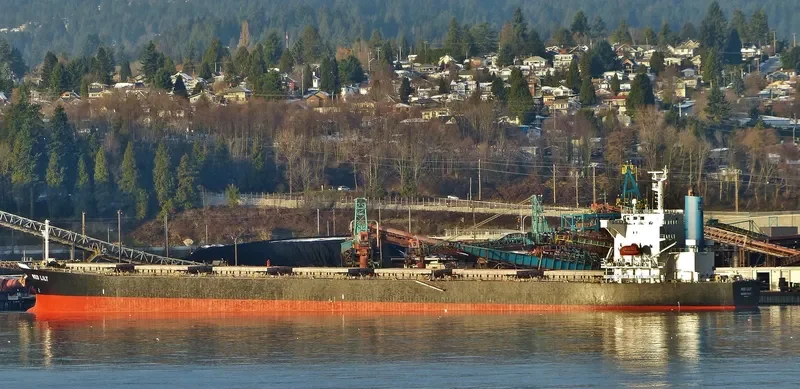 BRAVERY Bulk Carrier IMO 9302750 photo 6