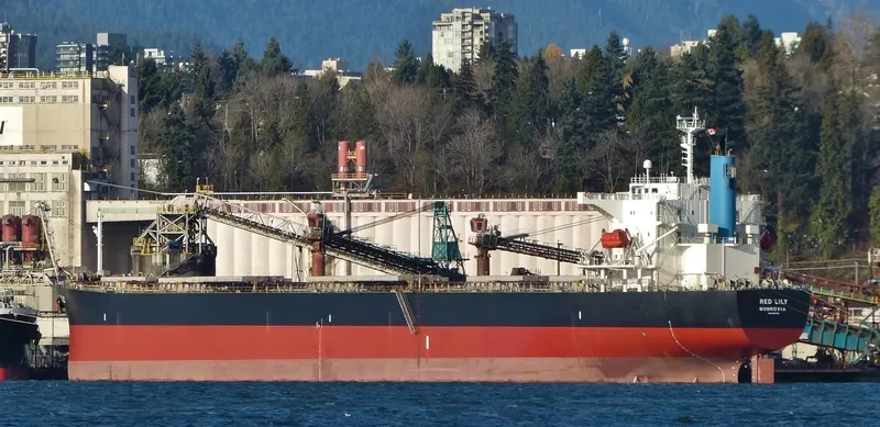 BRAVERY Bulk Carrier IMO 9302750 photo 7