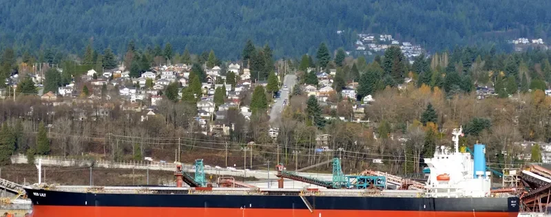 BRAVERY Bulk Carrier IMO 9302750 photo 8