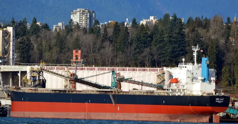 BRAVERY Bulk Carrier IMO 9302750 photo 9