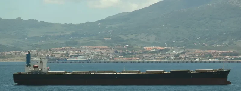 BRAVERY Bulk Carrier IMO 9302750 photo 10