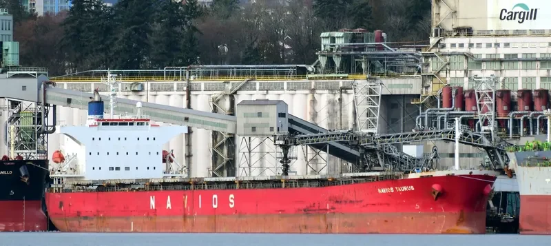 NAVIOS TAURUS Bulk Carrier IMO 9302762