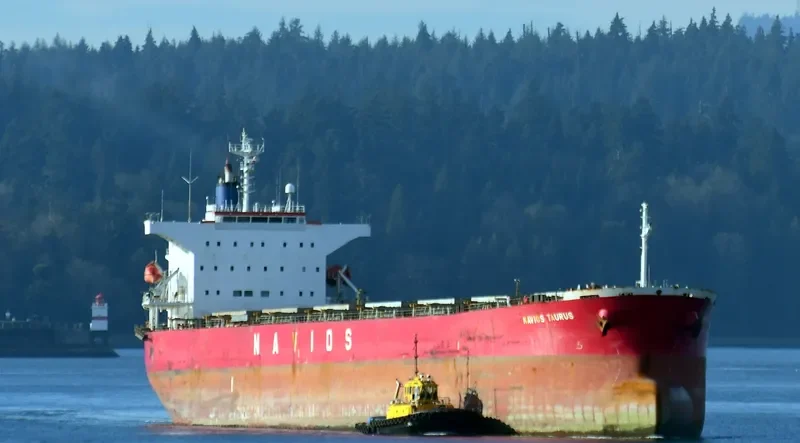 NAVIOS TAURUS Bulk Carrier IMO 9302762 photo 2