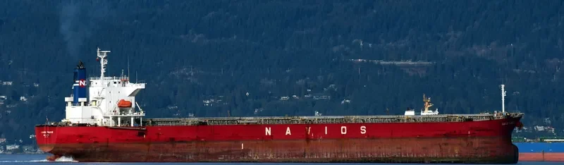 NAVIOS TAURUS Bulk Carrier IMO 9302762 photo 3