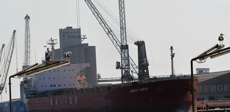 NAVIOS TAURUS Bulk Carrier IMO 9302762 photo 8
