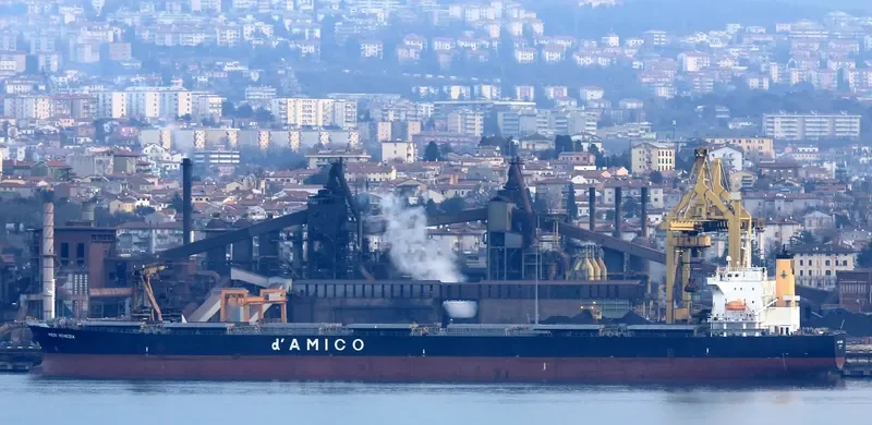 OMICRON LIGHT Bulk Carrier IMO 9302774 photo 5