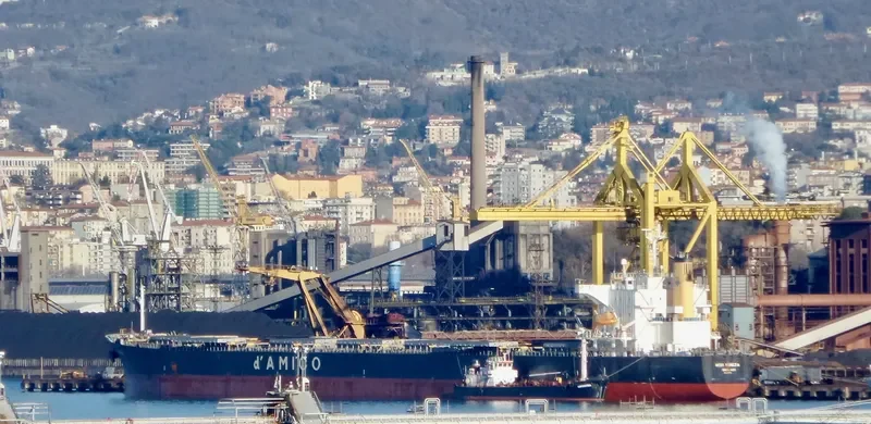 OMICRON LIGHT Bulk Carrier IMO 9302774 photo 10