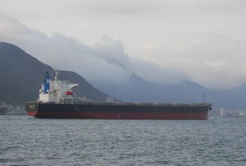 MIM VANGELIS JR Bulk Carrier IMO 9302786 photo 3
