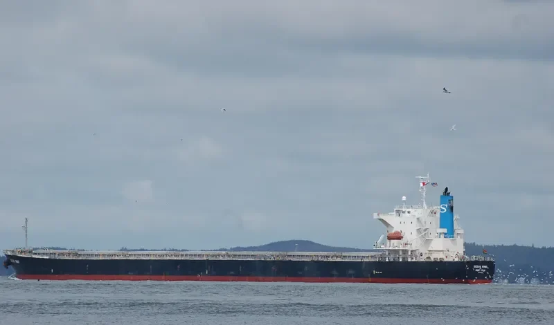MIM VANGELIS JR Bulk Carrier IMO 9302786 photo 8