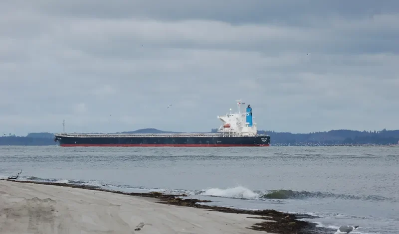MIM VANGELIS JR Bulk Carrier IMO 9302786 photo 9