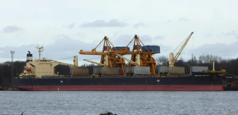 DAIDAN PERTIWI Bulk Carrier IMO 9302798 photo 2