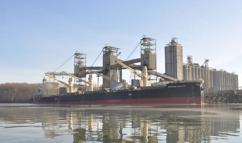 DAIDAN PERTIWI Bulk Carrier IMO 9302798 photo 3