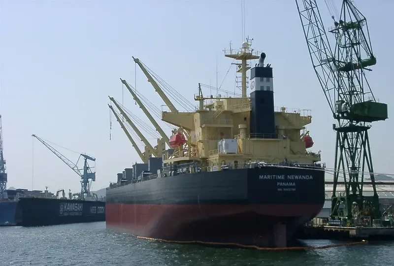 DAIDAN PERTIWI Bulk Carrier IMO 9302798 photo 4