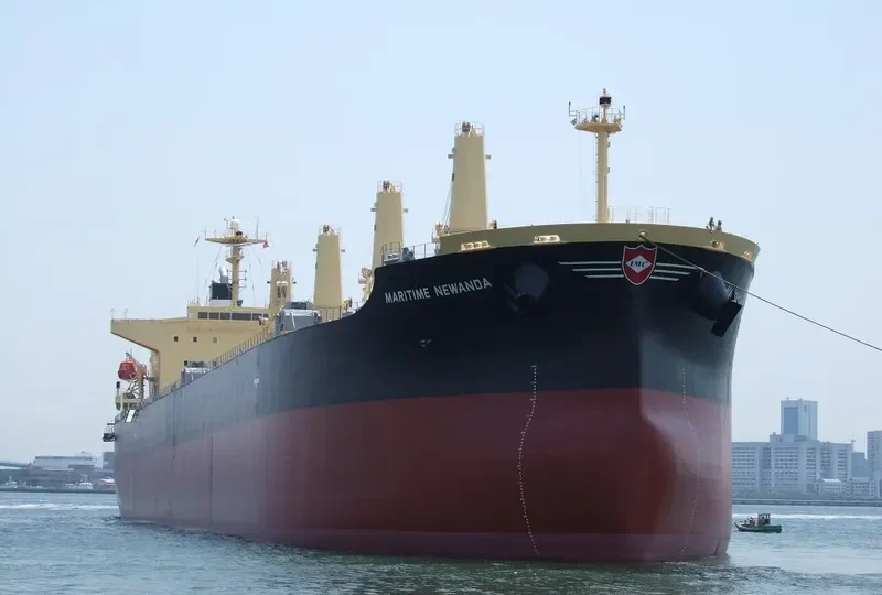 DAIDAN PERTIWI Bulk Carrier IMO 9302798 photo 5