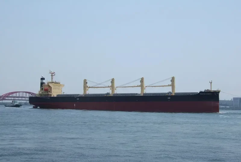 DAIDAN PERTIWI Bulk Carrier IMO 9302798 photo 6