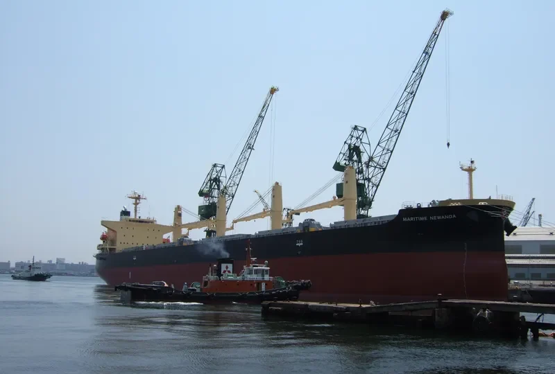 DAIDAN PERTIWI Bulk Carrier IMO 9302798 photo 7