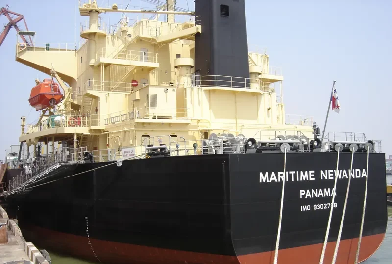DAIDAN PERTIWI Bulk Carrier IMO 9302798 photo 8