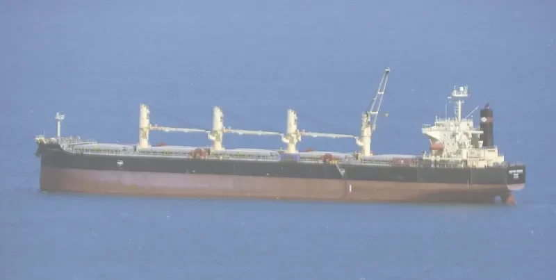 DAIDAN PERTIWI Bulk Carrier IMO 9302798 photo 9