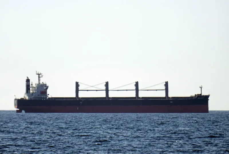 BAO SHUN Bulk Carrier IMO 9302815 photo 3