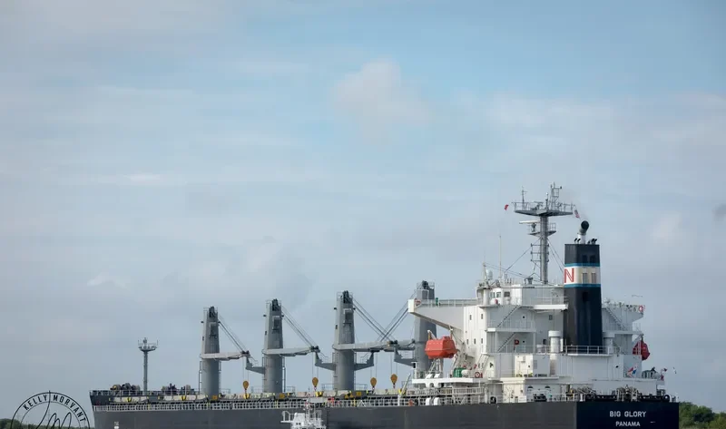 BAO SHUN Bulk Carrier IMO 9302815 photo 4
