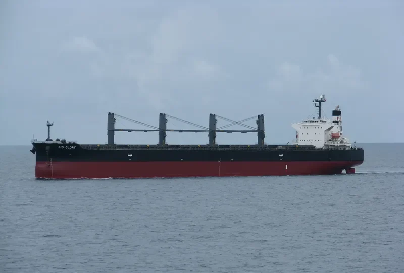 BAO SHUN Bulk Carrier IMO 9302815 photo 7