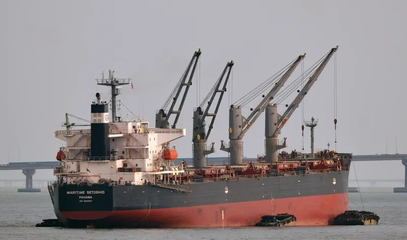 DAIDAN MUSTIKAWATI Bulk Carrier IMO 9302827