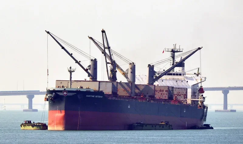 DAIDAN MUSTIKAWATI Bulk Carrier IMO 9302827 photo 2